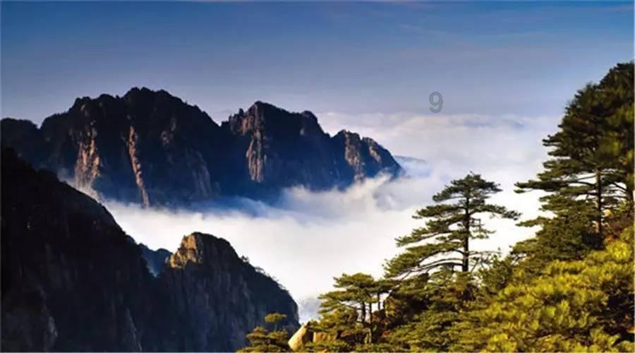 你好邻居