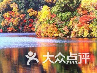 拥堵的停车场