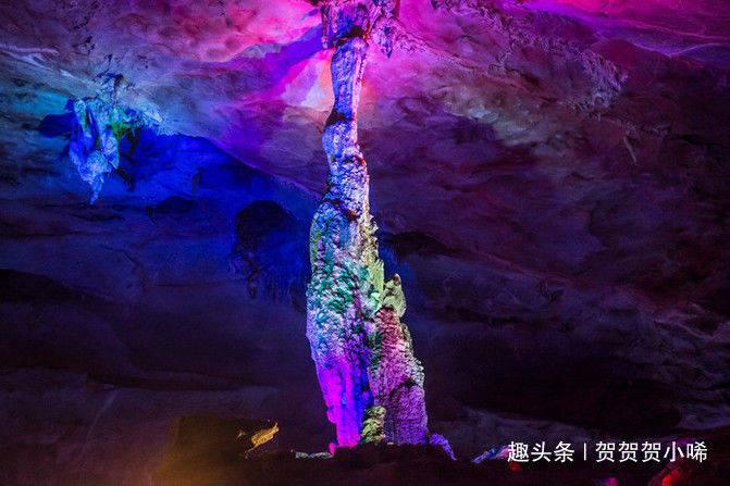 妙鸭相机app下载官网