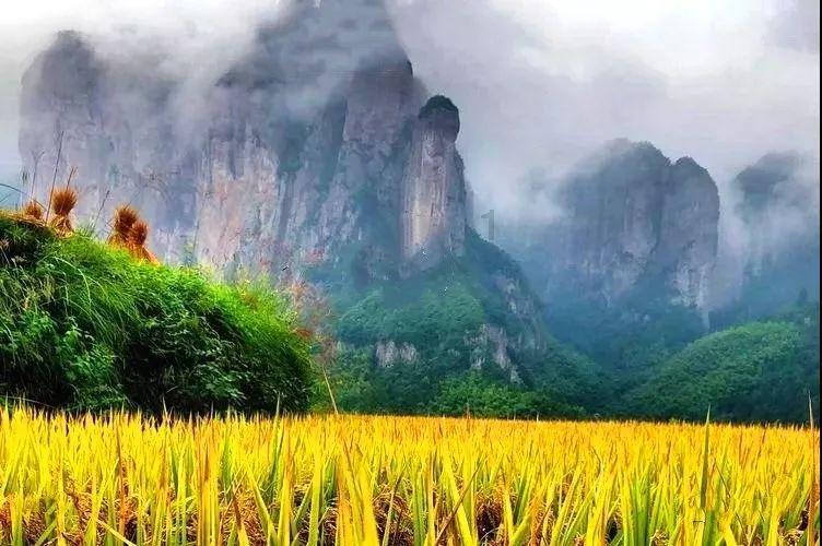 脑洞小老弟无实名认证