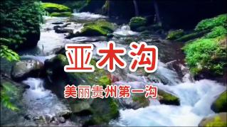 特种突击聪明的顺溜