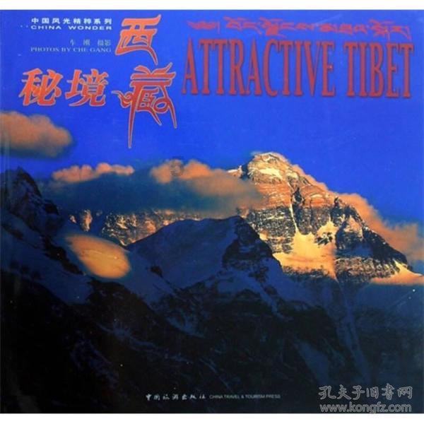 最美的校园女生73