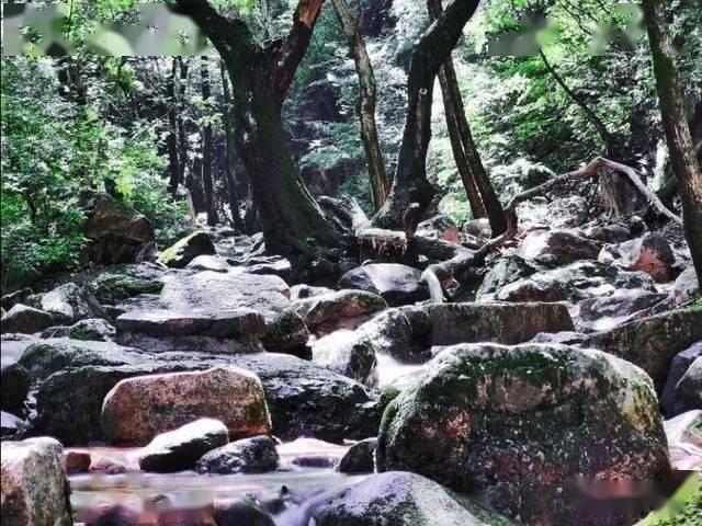 球球大作战下载最新版