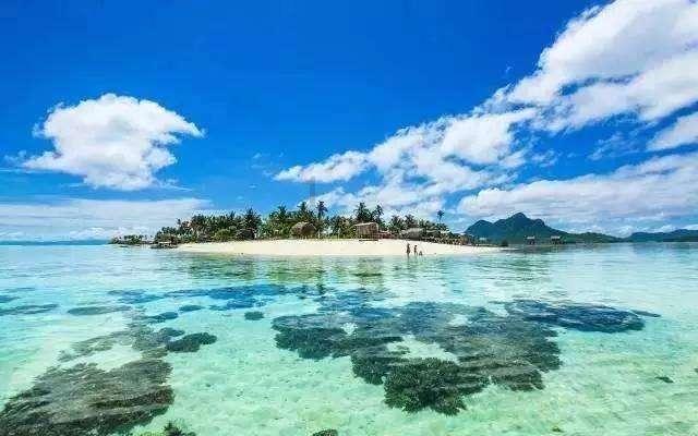 上海青浦区免费孕前检查如何申请？检查项目有哪些？附定点医院名单、预约方法