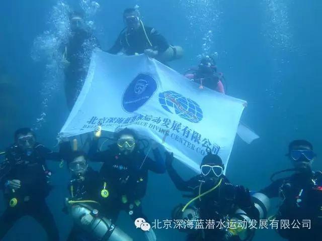 燃烧吧大脑免广告最新版