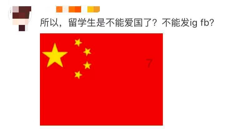 十大新手最好养的狗狗游戏画面
