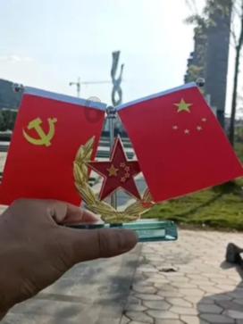 逃离金刚鹦鹉森林