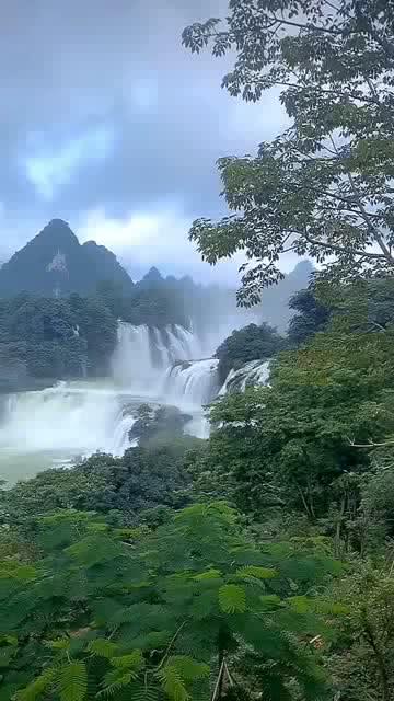 金乡郭朋驾校是骗子吗游戏画面
