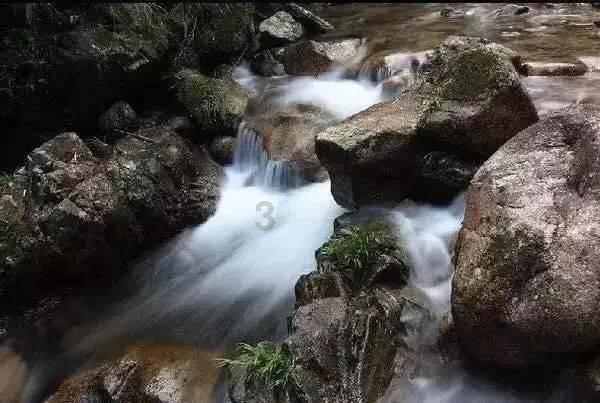 今天介绍丰惠的年味，花啊鱼干啊酱鸭啊，顺便播报一个重要通知