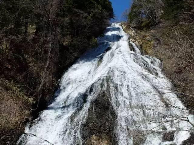 营救小乌龟