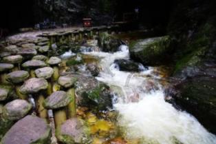 “找啊找啊找朋友找到一个好朋友.....”歌名叫什么？游戏画面