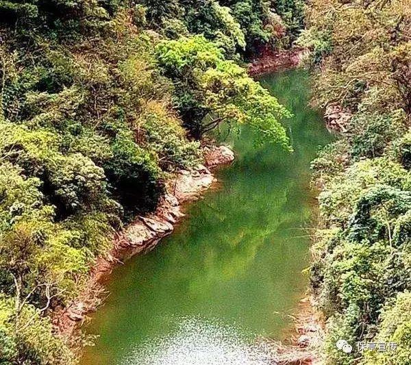 博物馆里过大年、文旅集市、非遗民俗迎新春…这个春节,嗨玩城关!
