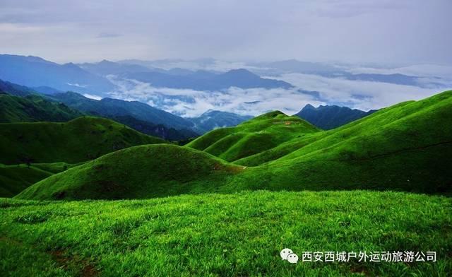 逗小猴开心系列195