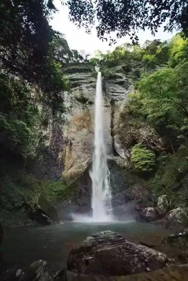 各国为何要储备黄金？游戏画面