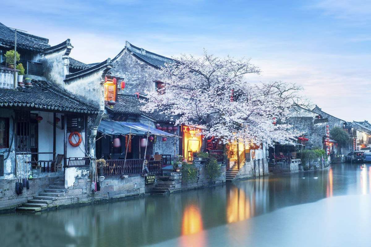 我的王朝