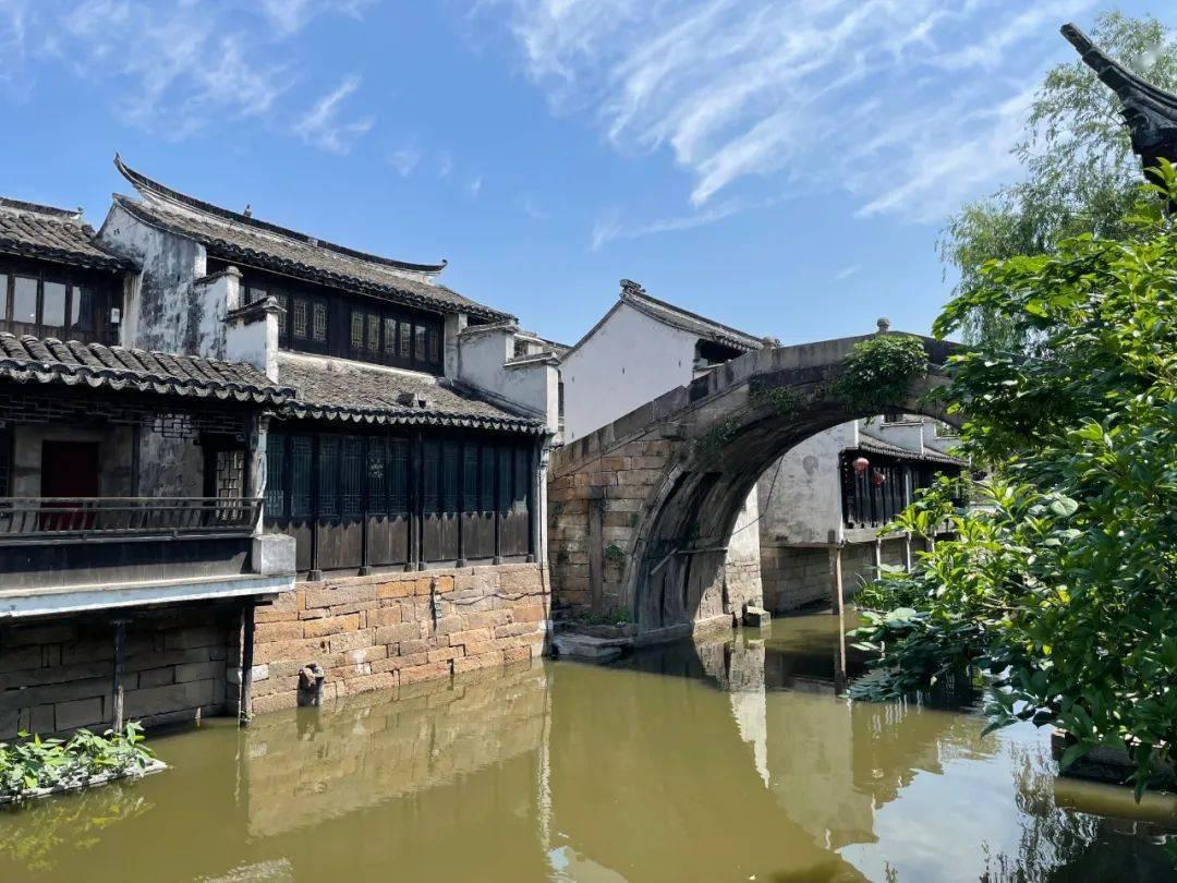 猪猪去冒险