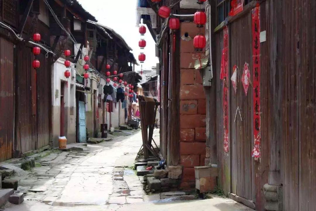 江苏:加快展现农业农村现代化新图景