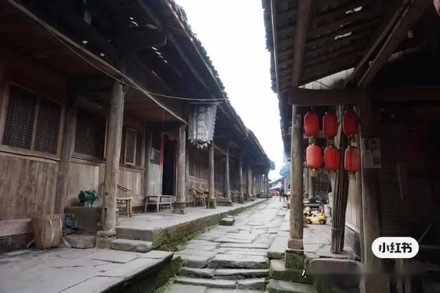 “小兔拔拔”水果萝卜